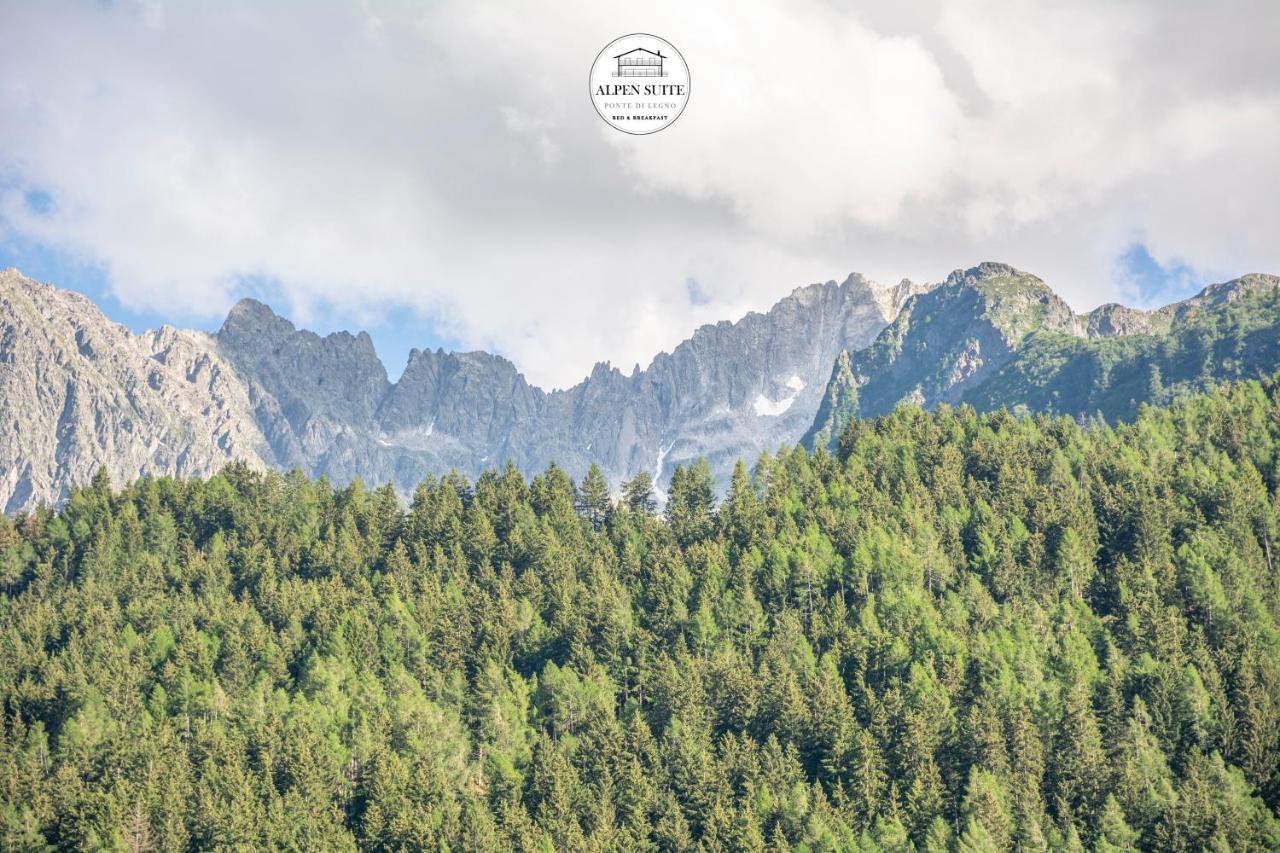 B&B Alpen Suite Ponte Di Legno Dış mekan fotoğraf