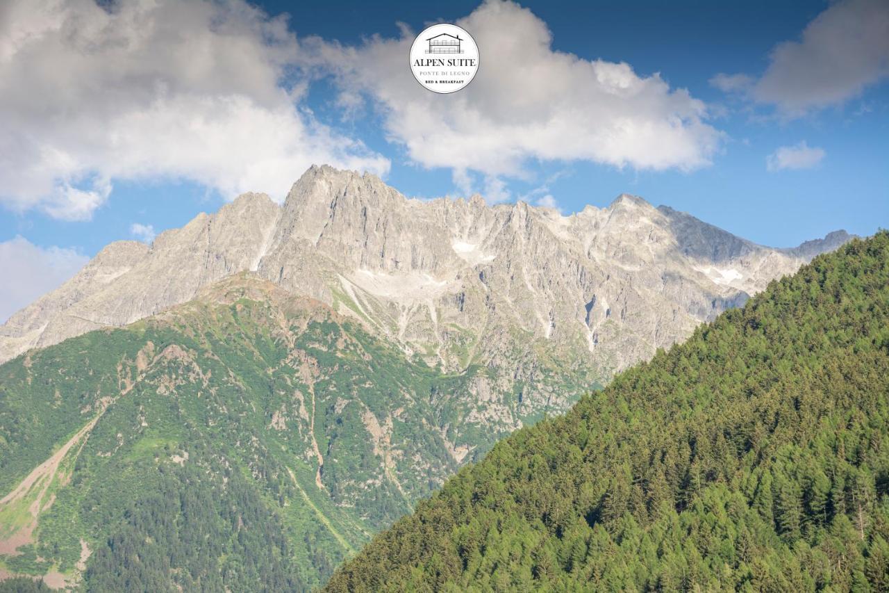 B&B Alpen Suite Ponte Di Legno Dış mekan fotoğraf